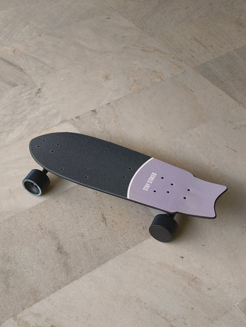 Electric skateboard, India, Electric Skate board, Buy now